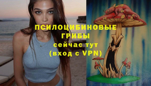 ПСИЛОЦИБИНОВЫЕ ГРИБЫ Алексеевка